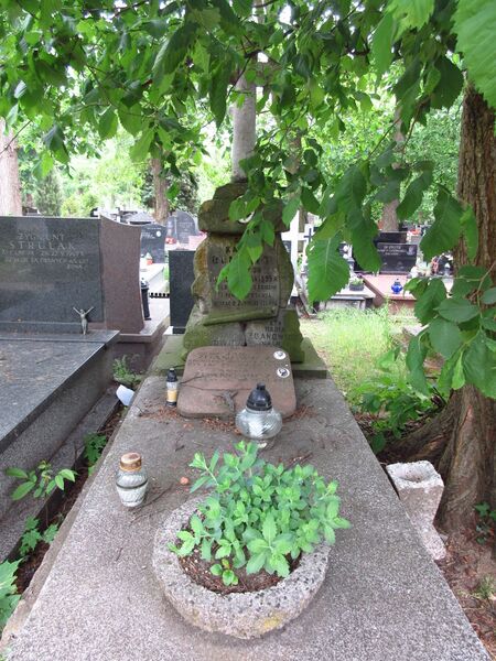 ملف:Jan Zdanowicz grób.jpg