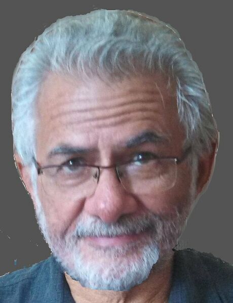 ملف:Josh fisher Madrid2 2013.jpg