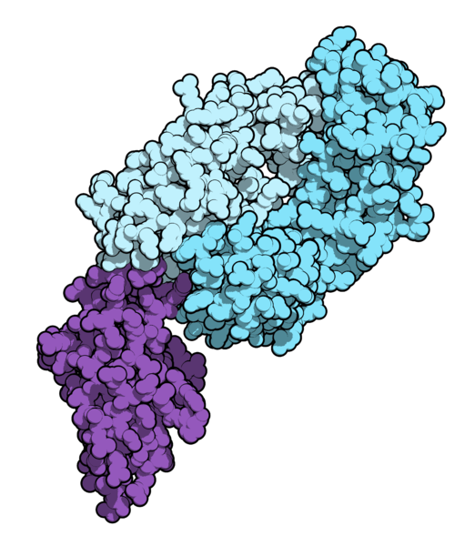 ملف:Nivolumab 5GGR.png