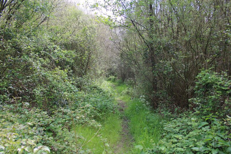 ملف:Moenebroek 11.jpg