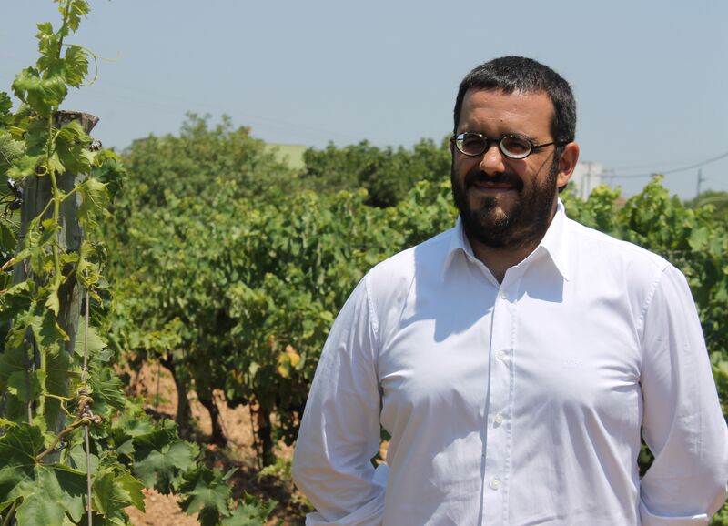 ملف:Vicenç Vidal Matas.JPG