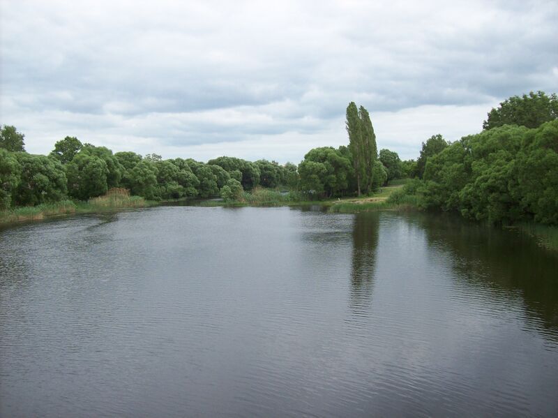 ملف:Река Усманка.jpg