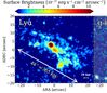 MAMMOTH-Subaru. II. Diverse Populations of Circumgalactic Lyα Nebulae at Cosmic Noon, figure 5.jpg