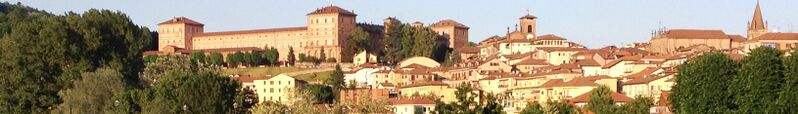 ملف:Moncalieri banner Castello.JPG