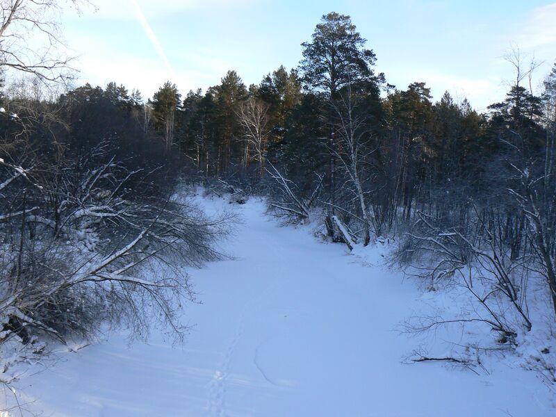 ملف:Zapadnaya Chusovaya Jan2014.JPG