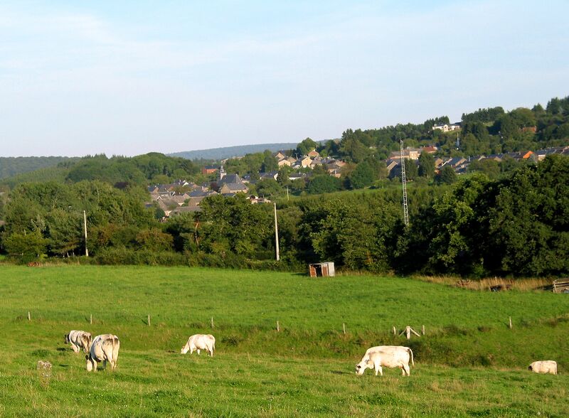 ملف:Bure JPG01.jpg