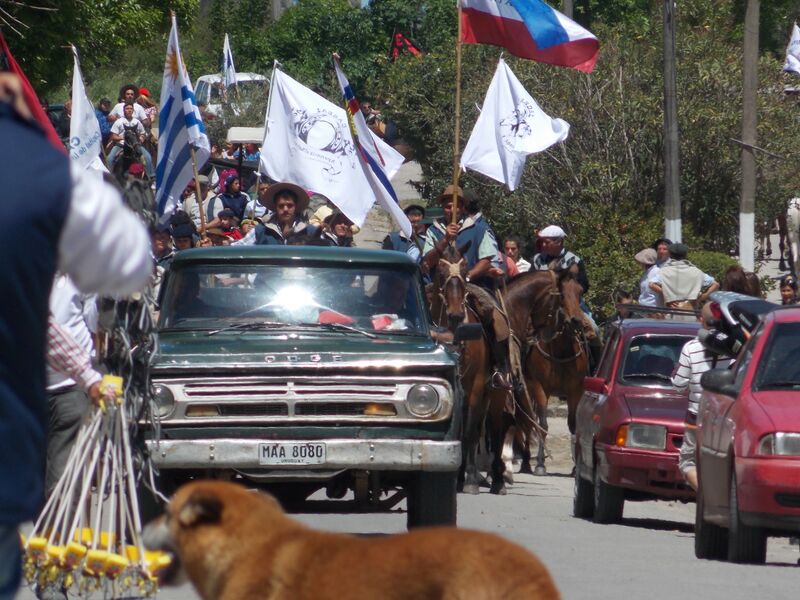 ملف:Cardal 013.jpg