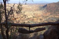 Church bell (wooden)
