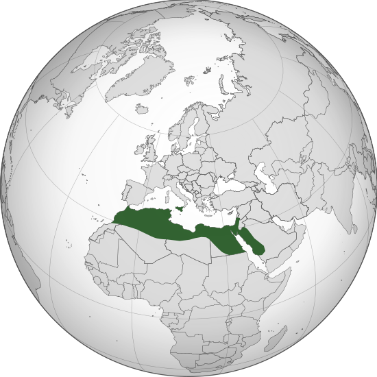 ملف:FatimidCaliphate969 (orthographic projection).svg