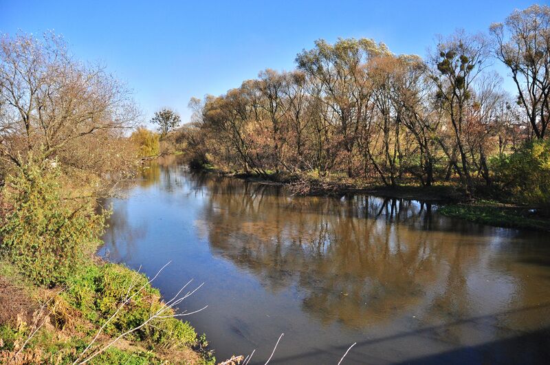 ملف:Rata in Velyki Mosty.jpg