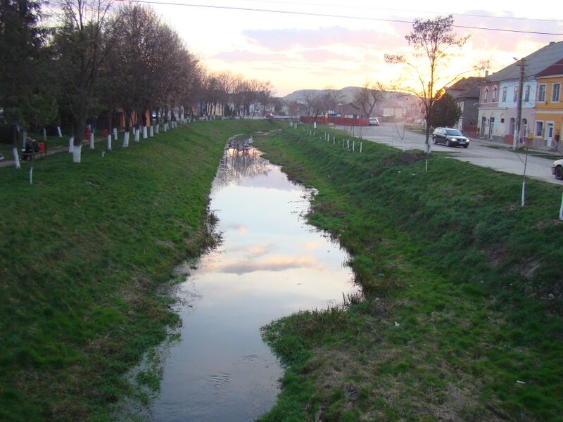 ملف:Raul Lechinta.JPG