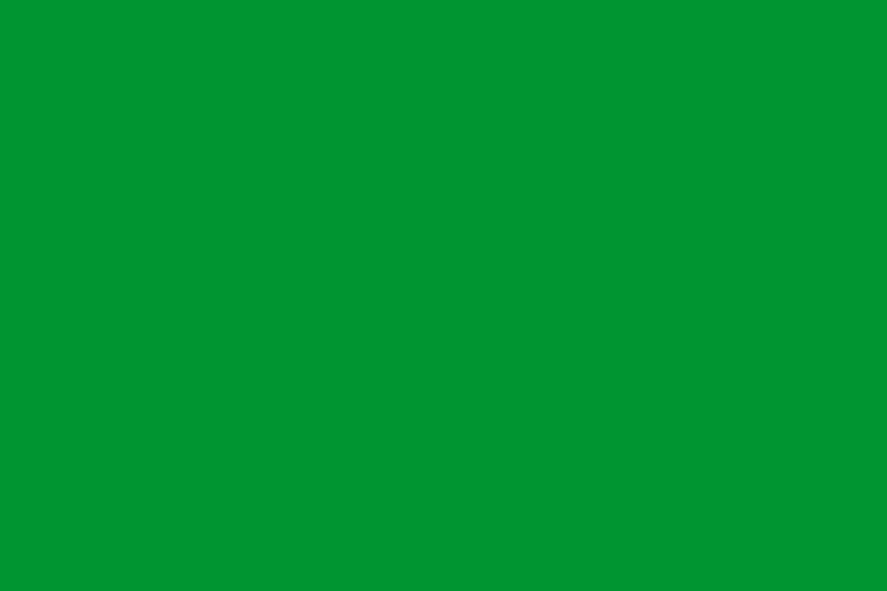 ملف:Rectangular green flag.svg