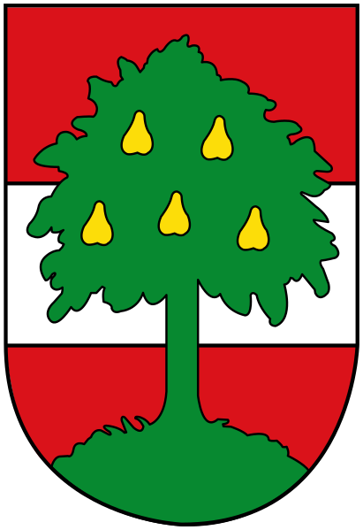 ملف:Wappendornbirn.svg