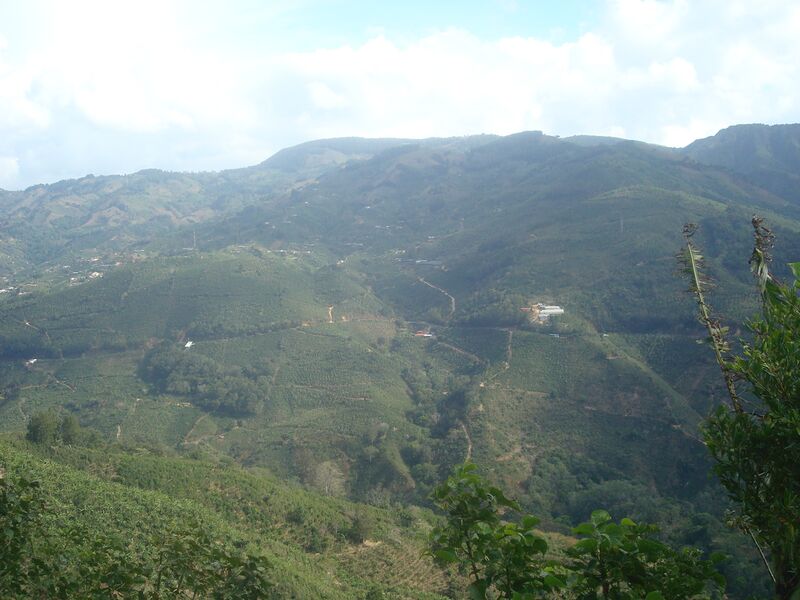 ملف:ZonaSantos.LeonCortes.Costa Rica.JPG