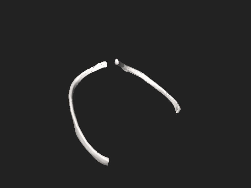 ملف:BodyParts3D eighth rib.stl