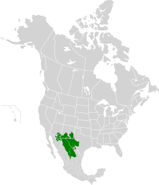 ملف:Chihuahuan Desert map.svg