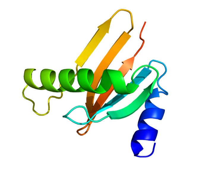 ملف:Protein HBXIP PDB 3MS6.png