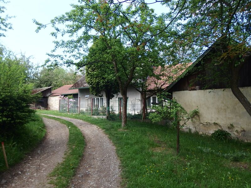 ملف:Rabouň, cesta.jpg