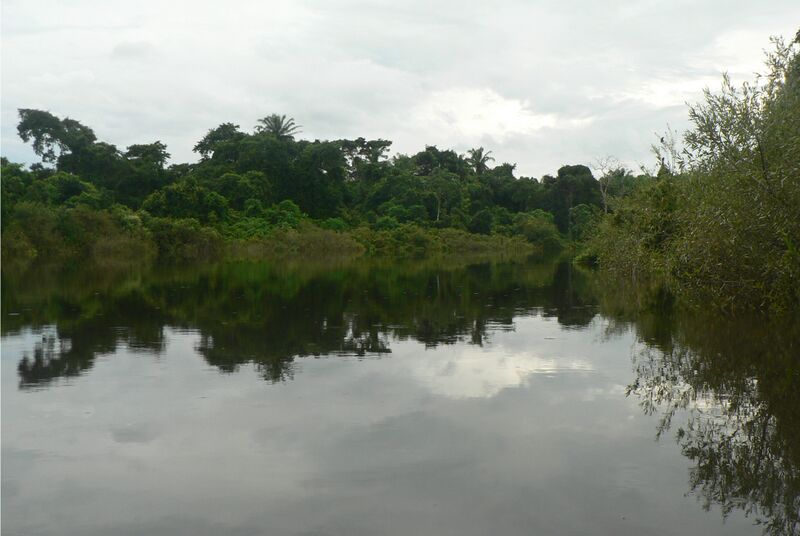 ملف:Rio Ibare.jpg