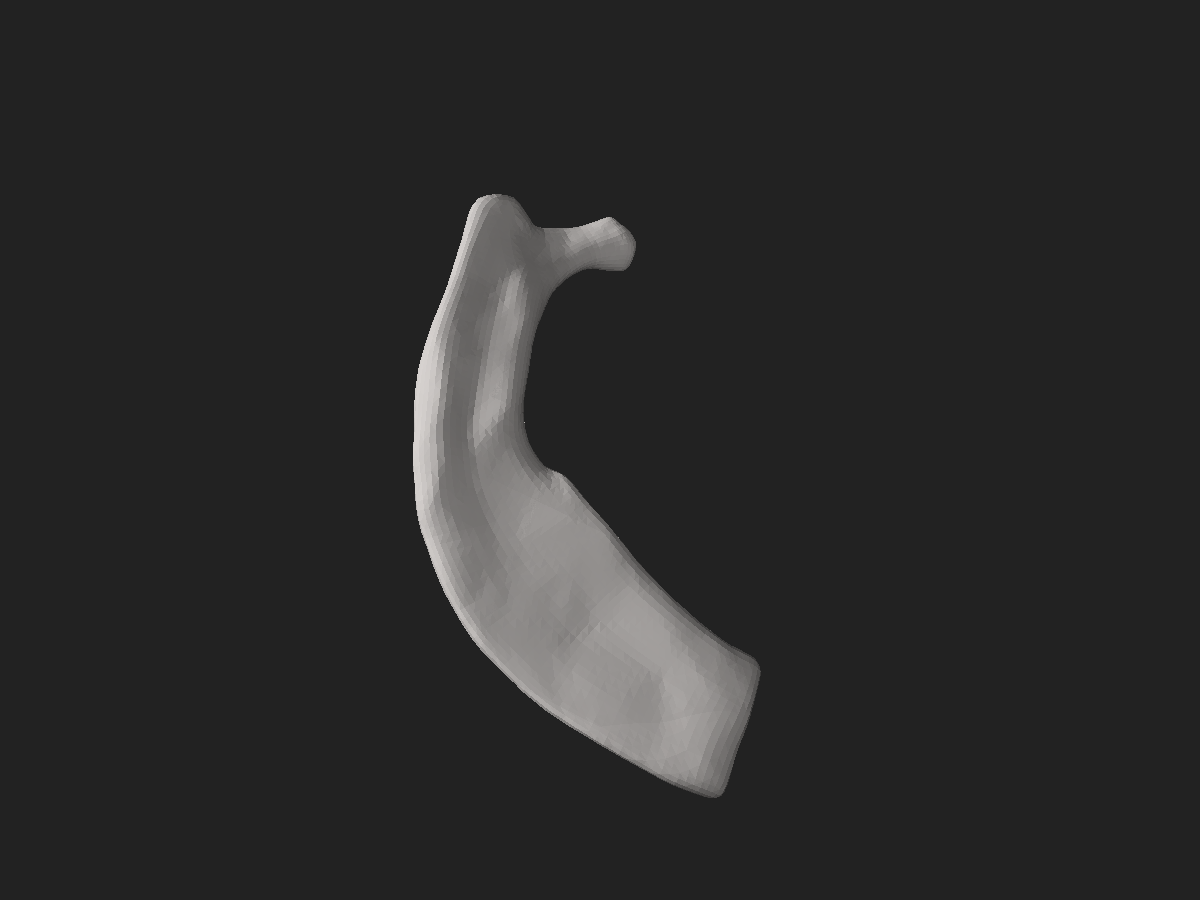 ملف:First Rib (Human).stl - المعرفة