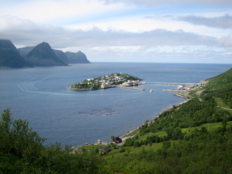 ملف:Husøy, Senja.jpg