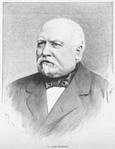 ملف:Josef Hamernik 1887 Vilimek.jpg
