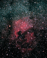 سديم أمريكا NGC 7000