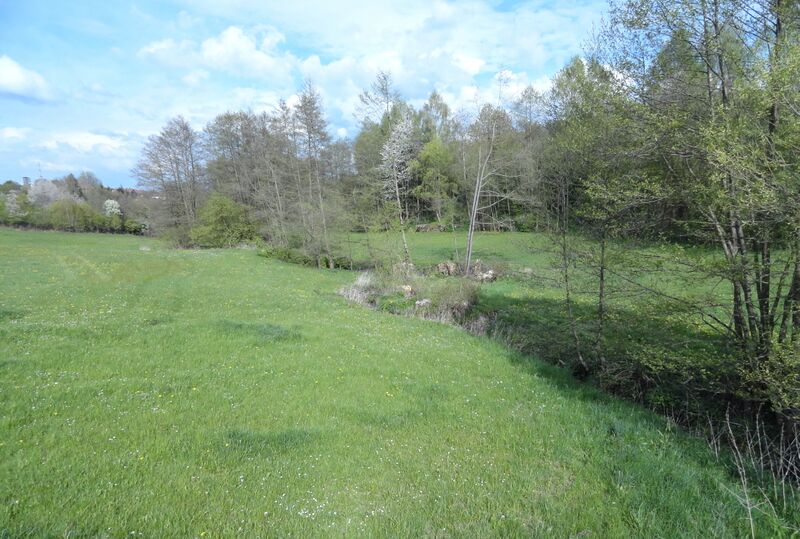 ملف:Schönsteiner Bach.JPG