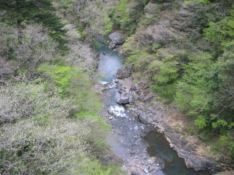 ملف:Tamagawa-sakaihasi.JPG