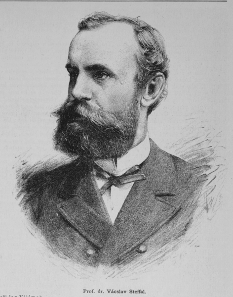 ملف:Vaclav Steffal 1885 Vilimek.png