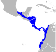 خريطة النطاق