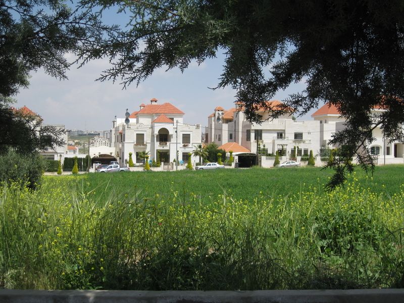 ملف:SPRING IN AMMAN 1.JPG