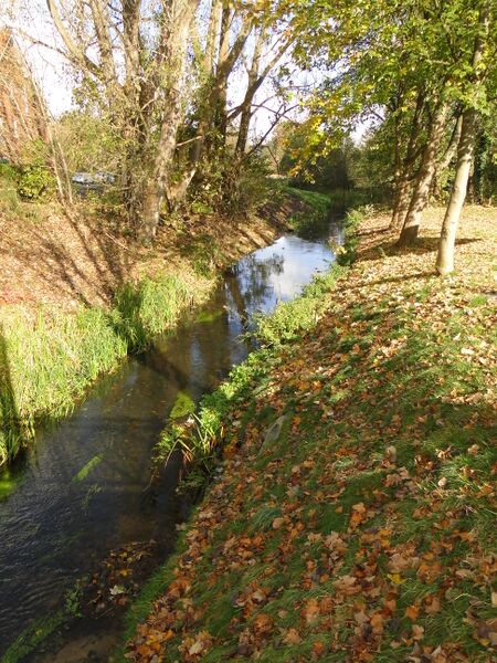 ملف:Wittenburg Motel 2012-10-30 067.JPG