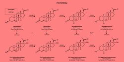 Стероидогенез прогестогенов.jpg