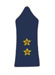 Lebanese Army's Insignia of First Lieutenant.jpg