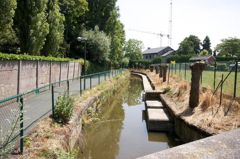 ملف:Mandel in Roeselare.jpg