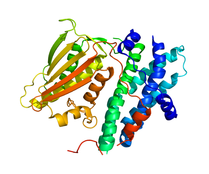 ملف:Protein PDK1 PDB 2Q8F.png