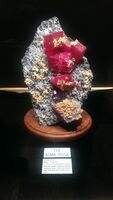 The Alma Rose specimen from the Sweet Home Mine. On display at the Rice Northwest Museum of Rocks and Minerals in Hillsboro, Oregon, U.S.