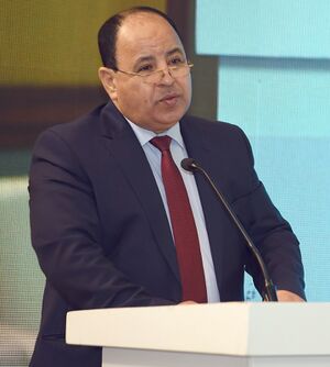 محمد معيط3.jpg