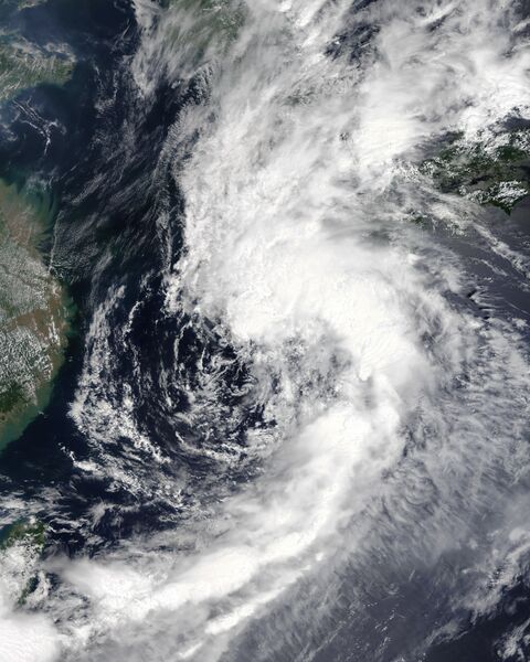 ملف:Lupit 2021-08-08 0205Z.jpg