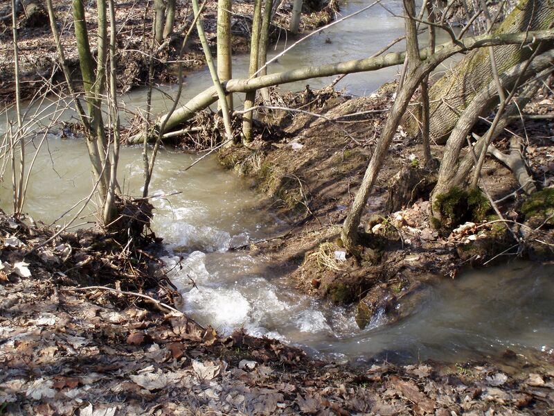 ملف:Válovický potok 1.JPG