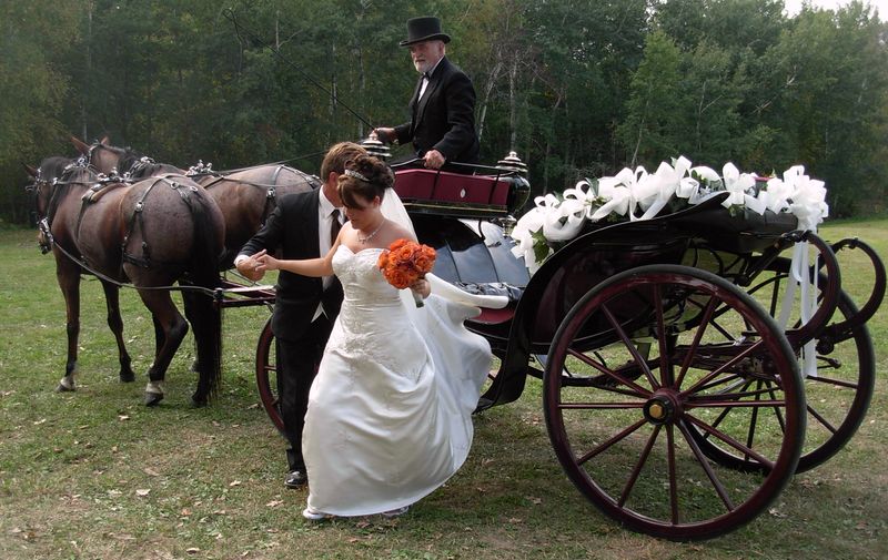 ملف:WeddingCarriage.JPG