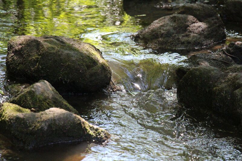 ملف:Mandelbach bei Habkirchen.JPG