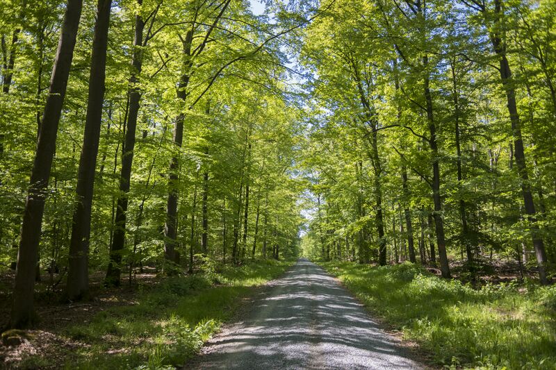 ملف:Rennweg nördlich von Hofstetten.jpg