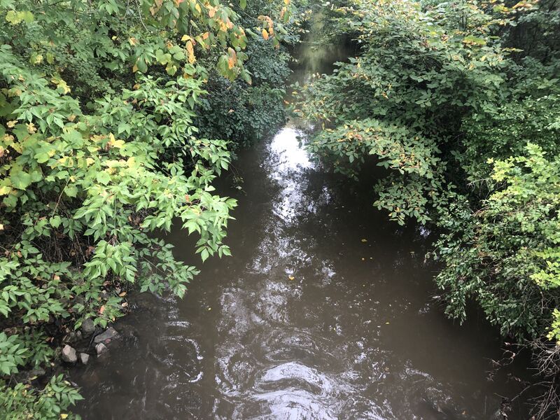 ملف:Skokie River.jpg