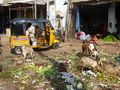 Vegetable waste being dumped in a market in Hyderabad