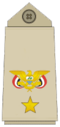 YemeniArmy-LieutenantColonel.png