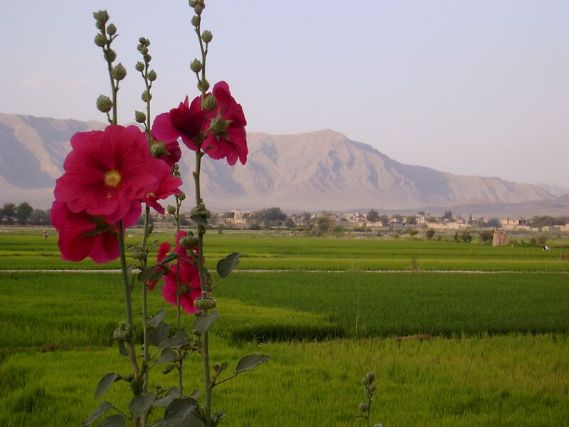 ملف:طبیعت ریز.JPG