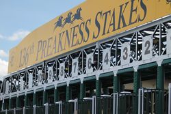 2011 Preakness Stakes starting gate.jpg