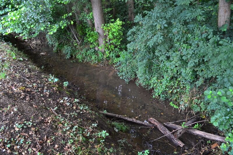 ملف:Judelle millieu.JPG